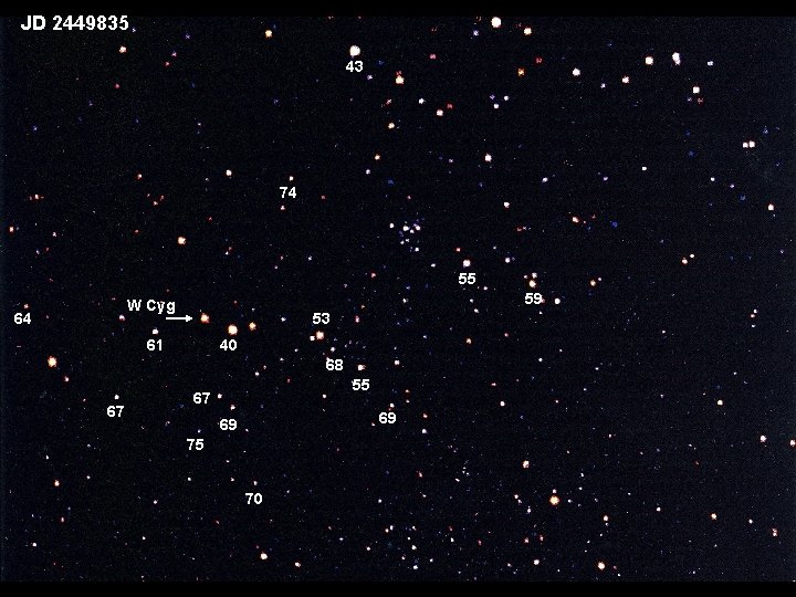 JD 2449835 43 74 55 59 W Cyg 64 53 61 40 68 67
