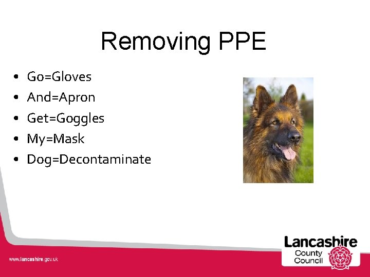 Removing PPE • • • Go=Gloves And=Apron Get=Goggles My=Mask Dog=Decontaminate 