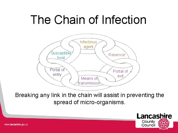 The Chain of Infection Infectious agent Susceptible host Portal of entry Reservoir Means of