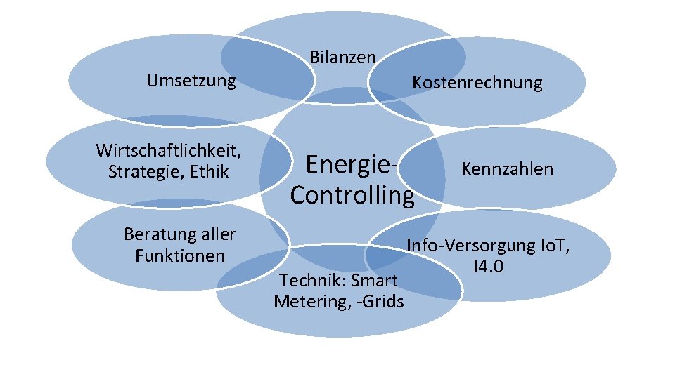 Umsetzung Wirtschaftlichkeit, Strategie, Ethik Bilanzen Kostenrechnung Energie. Controlling Beratung aller Funktionen Technik: Smart Metering,