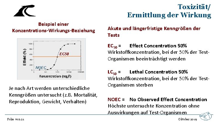 Toxizität/ Ermittlung der Wirkung Effekt (%) Beispiel einer Konzentrations-Wirkungs-Beziehung EC 50 NOEC Konzentration (mg/l)