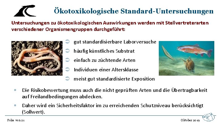 Ökotoxikologische Standard-Untersuchungen zu ökotoxikologischen Auswirkungen werden mit Stellvertreterarten verschiedener Organismengruppen durchgeführt: gut standardisierbare Laborversuche