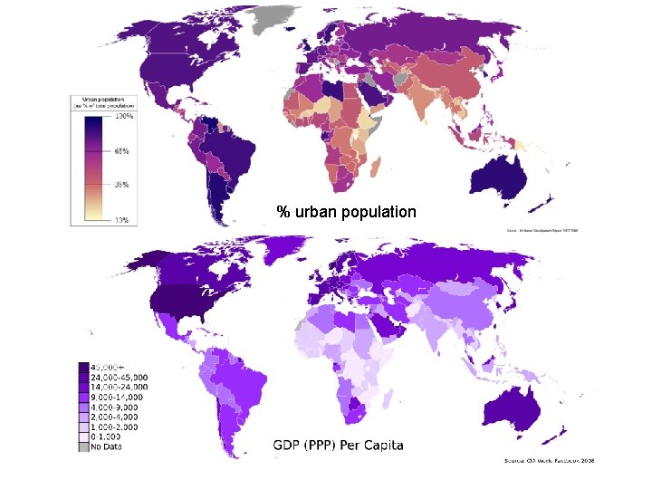 % urban population 
