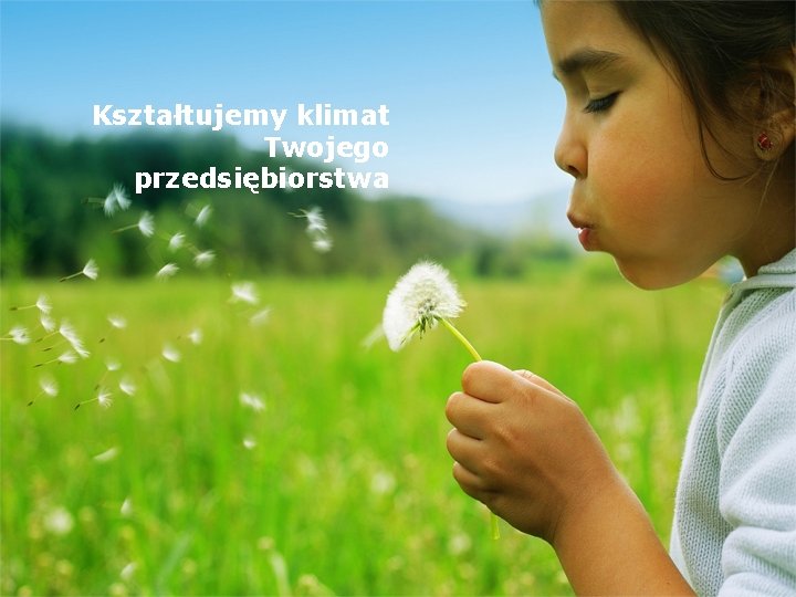 Kształtujemy klimat Twojego przedsiębiorstwa 