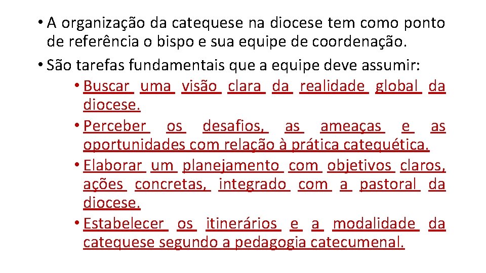  • A organização da catequese na diocese tem como ponto de referência o