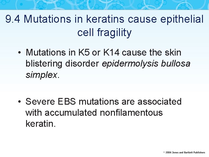 9. 4 Mutations in keratins cause epithelial cell fragility • Mutations in K 5