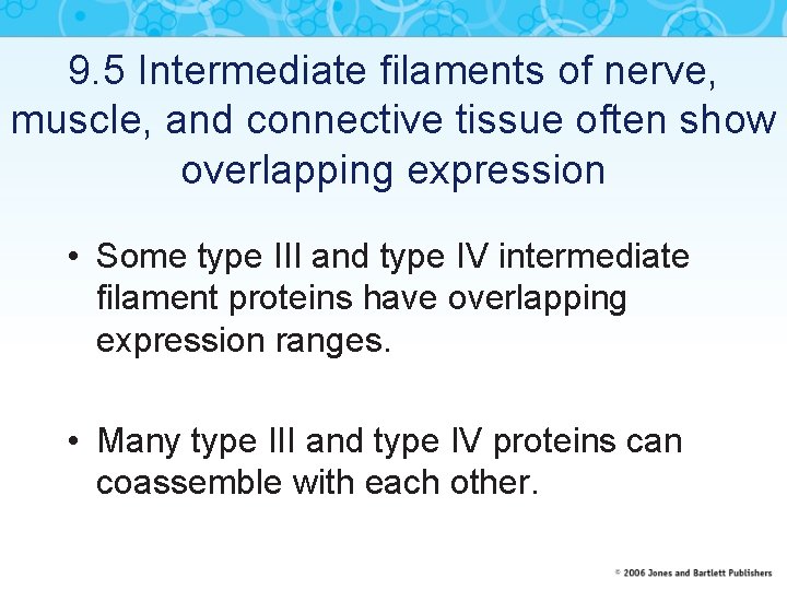 9. 5 Intermediate filaments of nerve, muscle, and connective tissue often show overlapping expression
