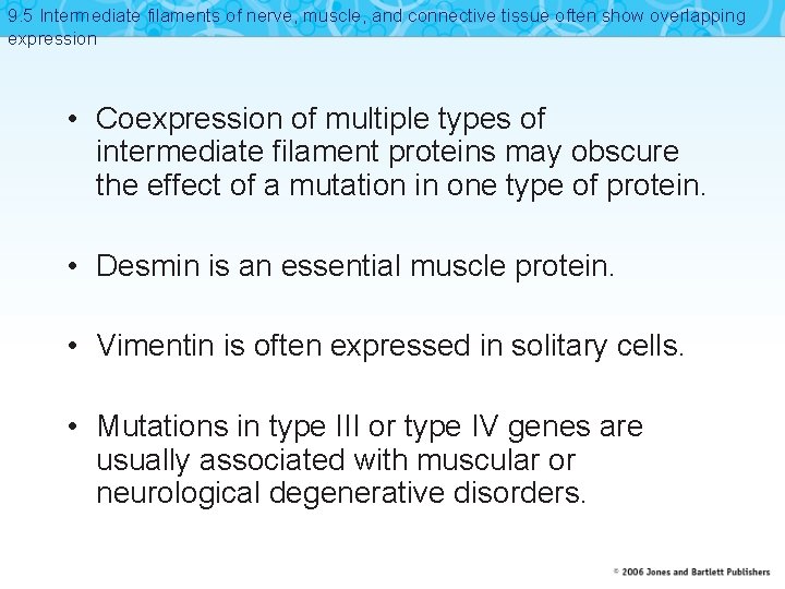 9. 5 Intermediate filaments of nerve, muscle, and connective tissue often show overlapping expression