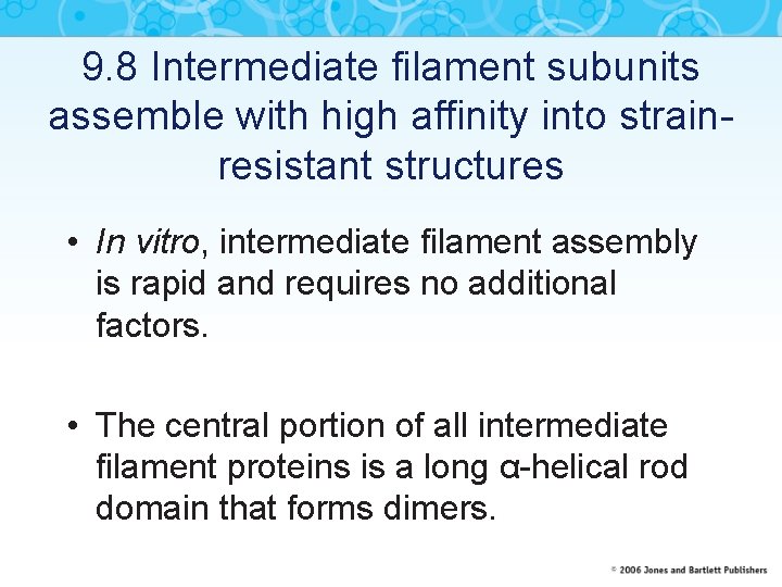 9. 8 Intermediate filament subunits assemble with high affinity into strainresistant structures • In