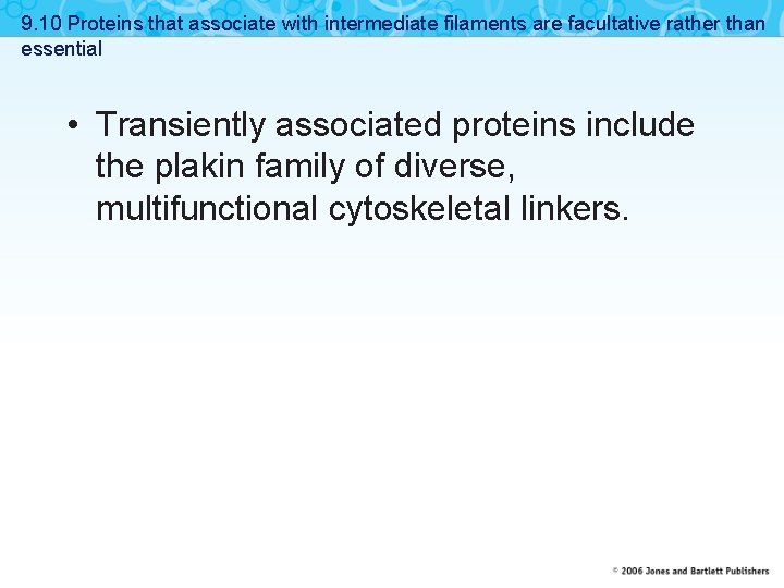 9. 10 Proteins that associate with intermediate filaments are facultative rather than essential •