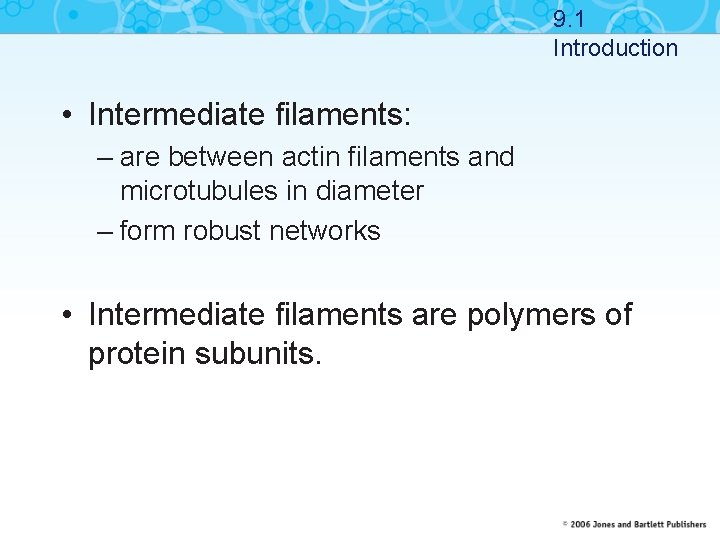 9. 1 Introduction • Intermediate filaments: – are between actin filaments and microtubules in