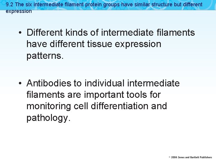 9. 2 The six intermediate filament protein groups have similar structure but different expression