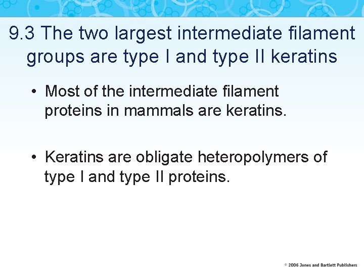 9. 3 The two largest intermediate filament groups are type I and type II