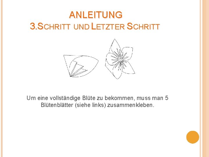 ANLEITUNG 3. SCHRITT UND LETZTER SCHRITT Um eine vollständige Blüte zu bekommen, muss man