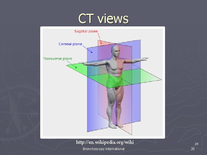CT views http: //en. wikipedia. org/wiki Bronchoscopy International 25 25 CT views http: //en. wikipedia. org/wiki Bronchoscopy International 25 25