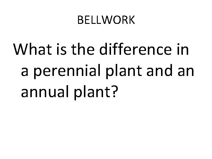 BELLWORK What is the difference in a perennial plant and an annual plant? 