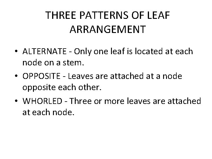 THREE PATTERNS OF LEAF ARRANGEMENT • ALTERNATE - Only one leaf is located at