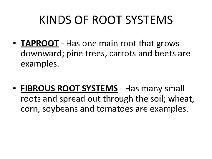 KINDS OF ROOT SYSTEMS • TAPROOT - Has one main root that grows downward;