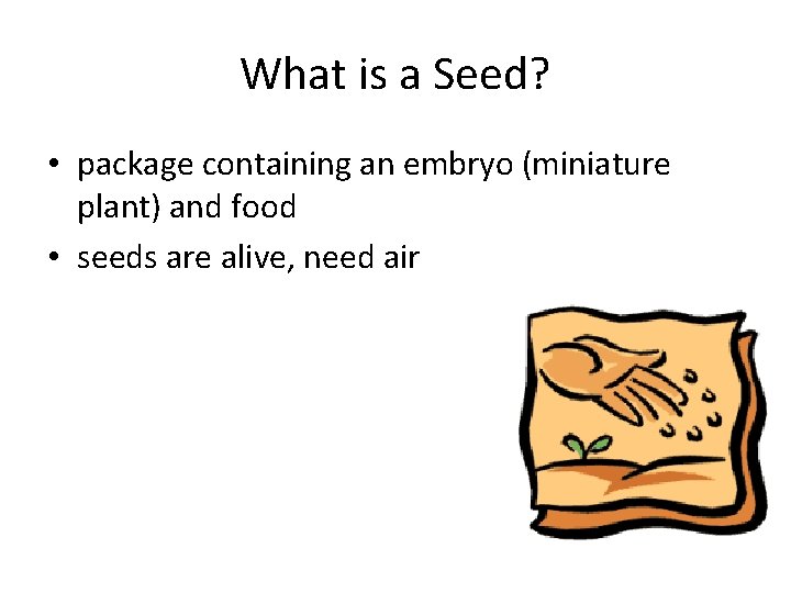 What is a Seed? • package containing an embryo (miniature plant) and food •