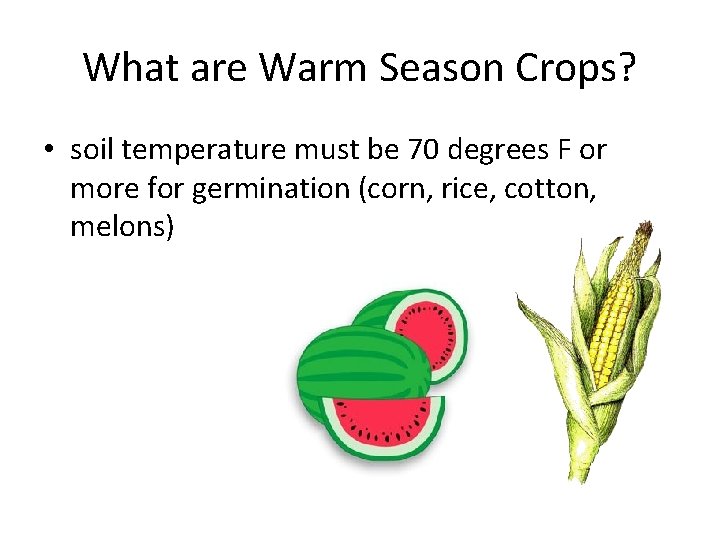 What are Warm Season Crops? • soil temperature must be 70 degrees F or