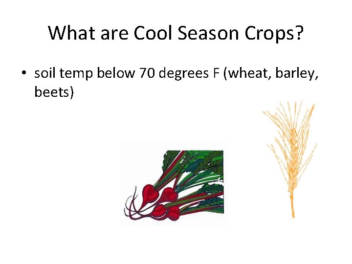 What are Cool Season Crops? • soil temp below 70 degrees F (wheat, barley,