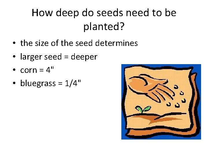 How deep do seeds need to be planted? • • the size of the