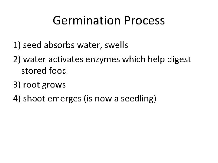 Germination Process 1) seed absorbs water, swells 2) water activates enzymes which help digest