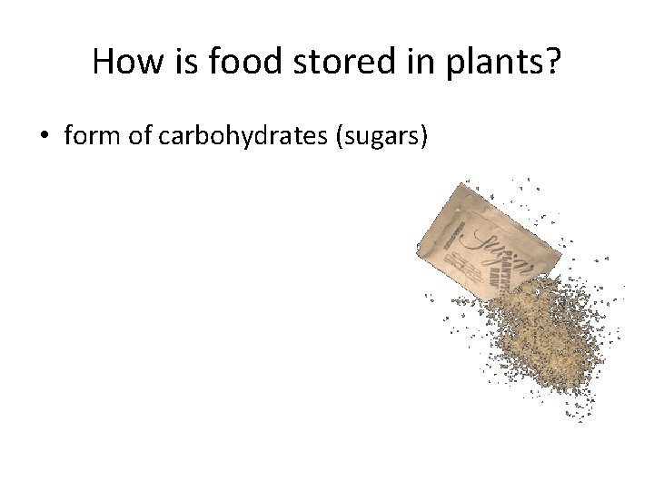 How is food stored in plants? • form of carbohydrates (sugars) 