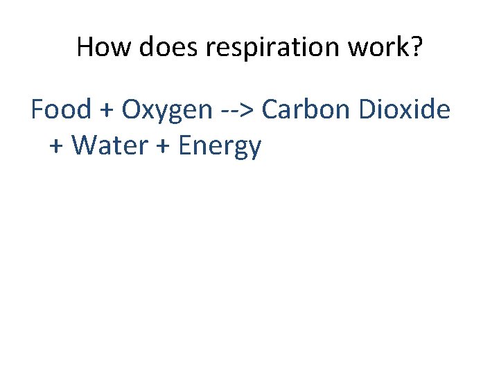 How does respiration work? Food + Oxygen --> Carbon Dioxide + Water + Energy