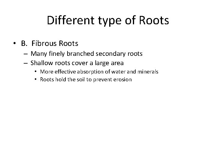 Different type of Roots • B. Fibrous Roots – Many finely branched secondary roots