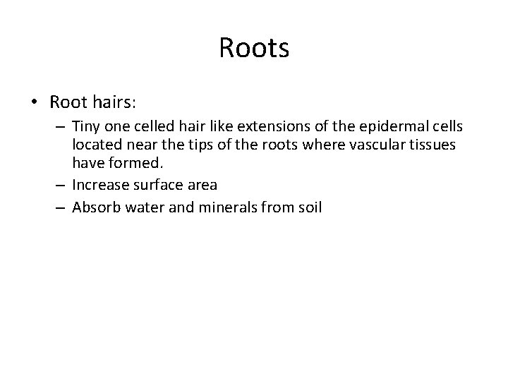 Roots • Root hairs: – Tiny one celled hair like extensions of the epidermal