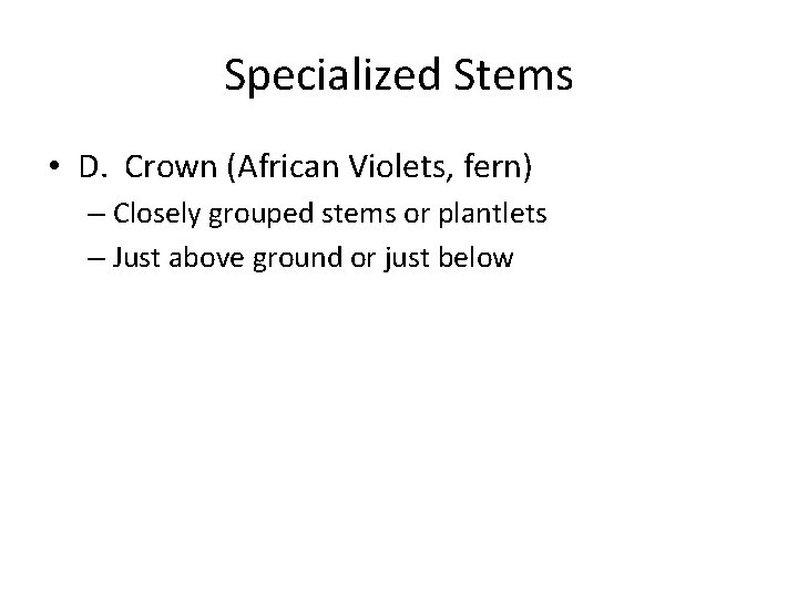 Specialized Stems • D. Crown (African Violets, fern) – Closely grouped stems or plantlets