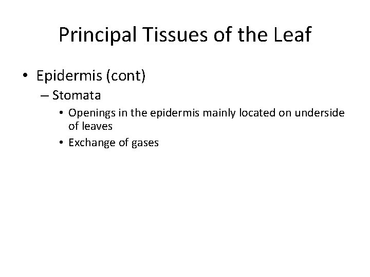 Principal Tissues of the Leaf • Epidermis (cont) – Stomata • Openings in the