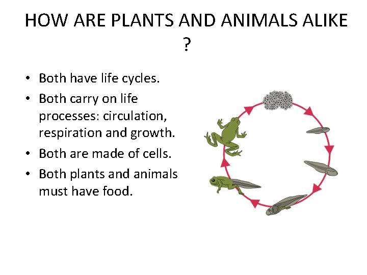 HOW ARE PLANTS AND ANIMALS ALIKE ? • Both have life cycles. • Both