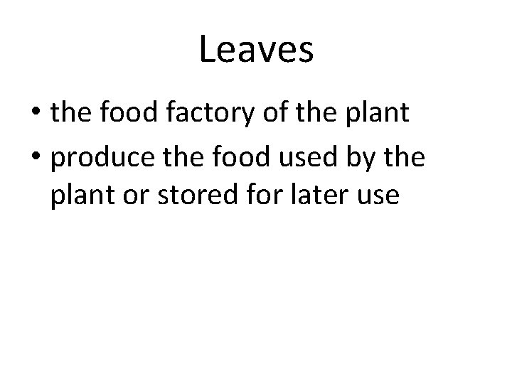 Leaves • the food factory of the plant • produce the food used by