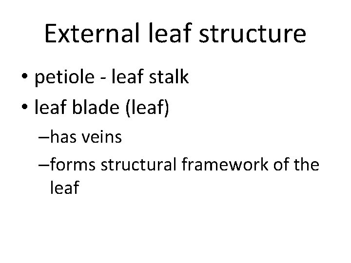 External leaf structure • petiole - leaf stalk • leaf blade (leaf) –has veins