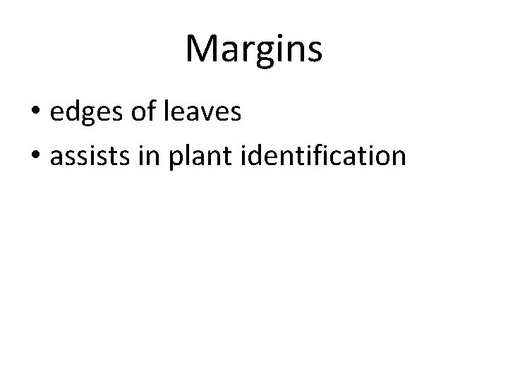 Margins • edges of leaves • assists in plant identification 