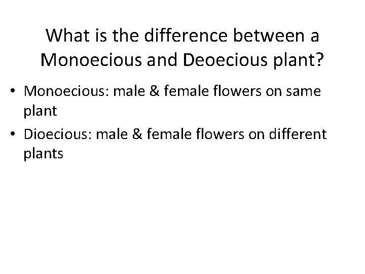 What is the difference between a Monoecious and Deoecious plant? • Monoecious: male &