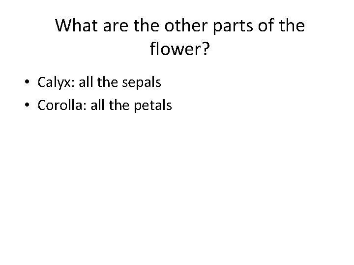 What are the other parts of the flower? • Calyx: all the sepals •