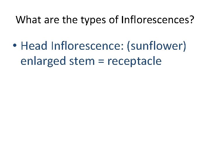 What are the types of Inflorescences? • Head Inflorescence: (sunflower) enlarged stem = receptacle