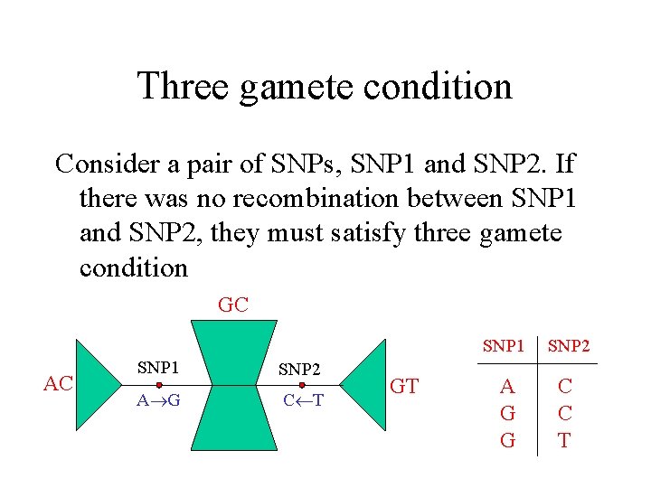 Three gamete condition Consider a pair of SNPs, SNP 1 and SNP 2. If