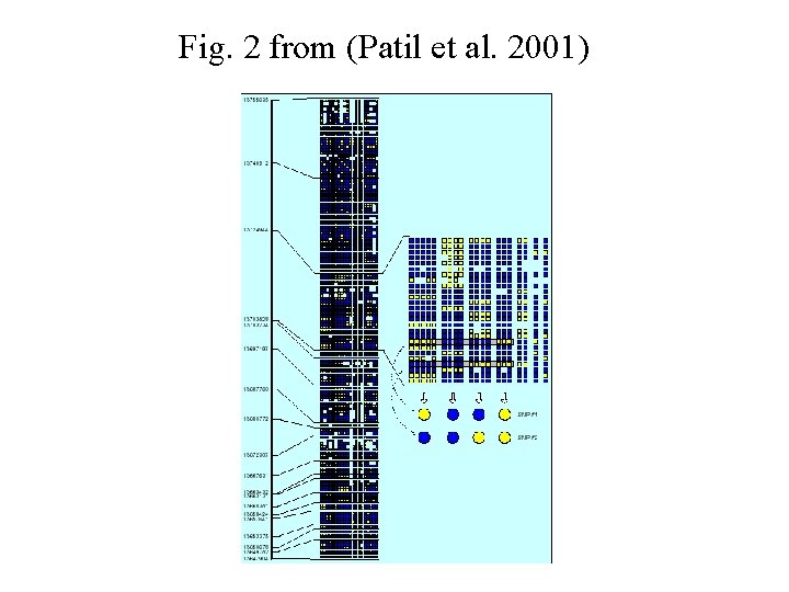 Fig. 2 from (Patil et al. 2001) 