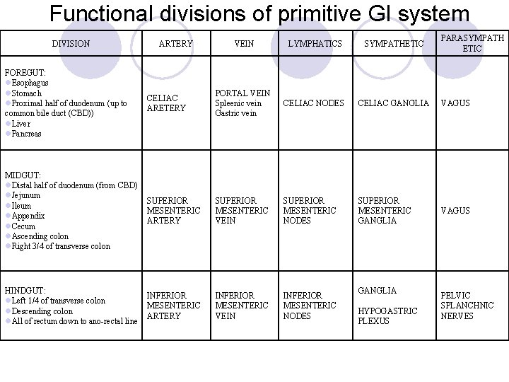 Functional divisions of primitive GI system DIVISION PARASYMPATH ETIC VEIN LYMPHATICS SYMPATHETIC PORTAL VEIN