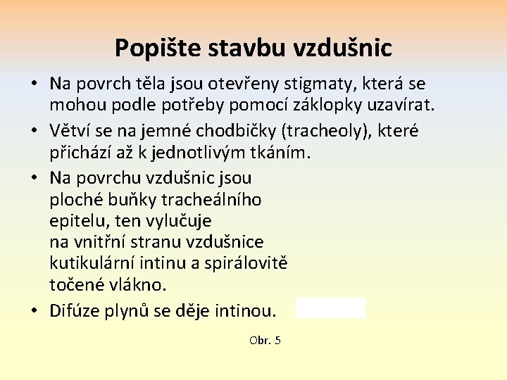 Popište stavbu vzdušnic • Na povrch těla jsou otevřeny stigmaty, která se mohou podle