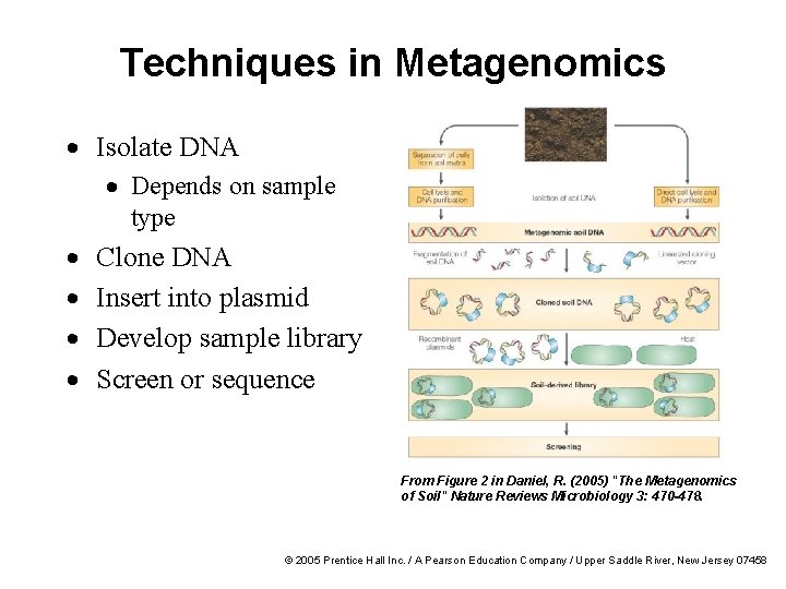 Techniques in Metagenomics · Isolate DNA · Depends on sample type · · Clone