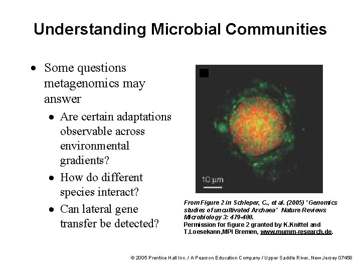 Understanding Microbial Communities · Some questions metagenomics may answer · Are certain adaptations observable