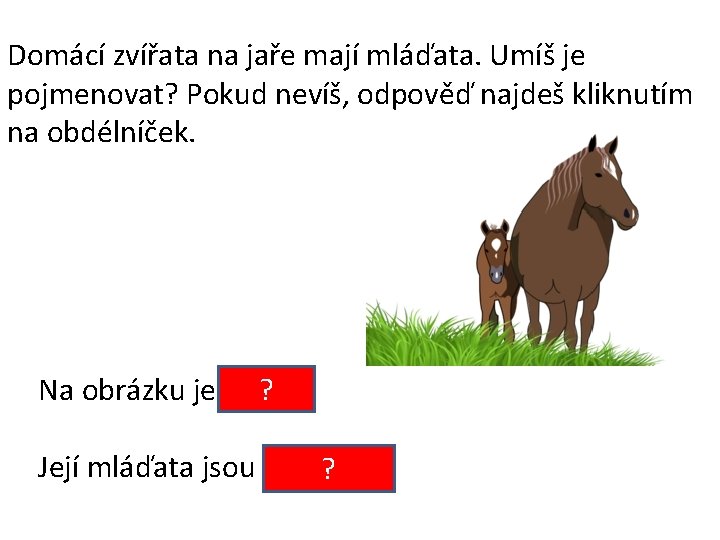 Domácí zvířata na jaře mají mláďata. Umíš je pojmenovat? Pokud nevíš, odpověď najdeš kliknutím