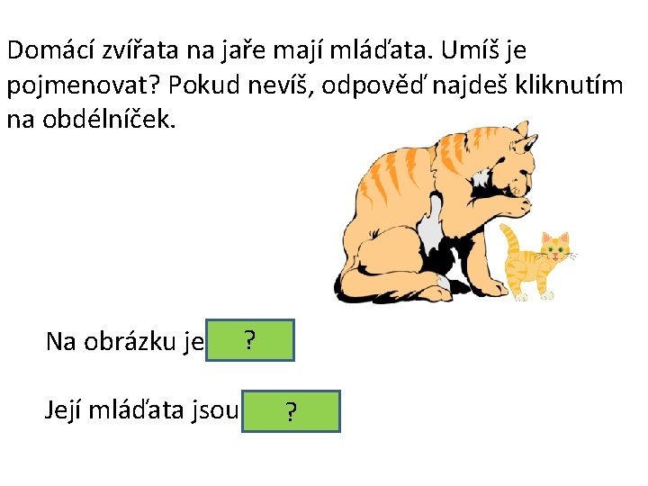 Domácí zvířata na jaře mají mláďata. Umíš je pojmenovat? Pokud nevíš, odpověď najdeš kliknutím