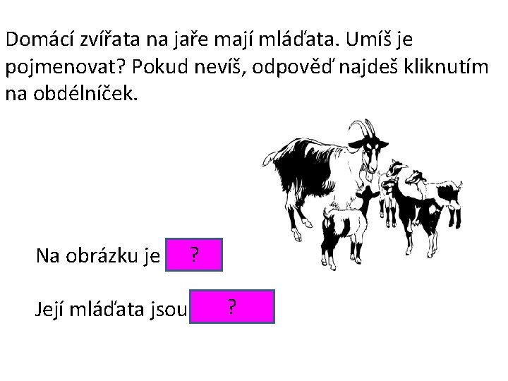 Domácí zvířata na jaře mají mláďata. Umíš je pojmenovat? Pokud nevíš, odpověď najdeš kliknutím