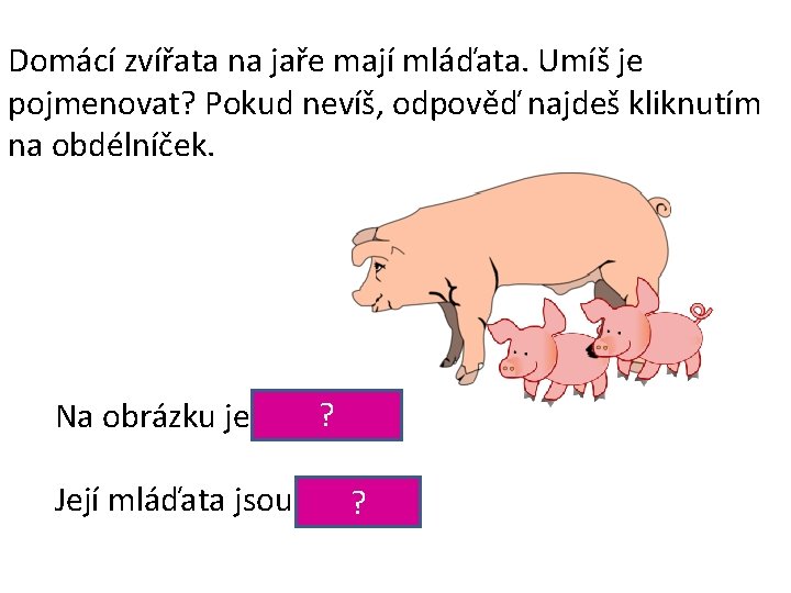 Domácí zvířata na jaře mají mláďata. Umíš je pojmenovat? Pokud nevíš, odpověď najdeš kliknutím